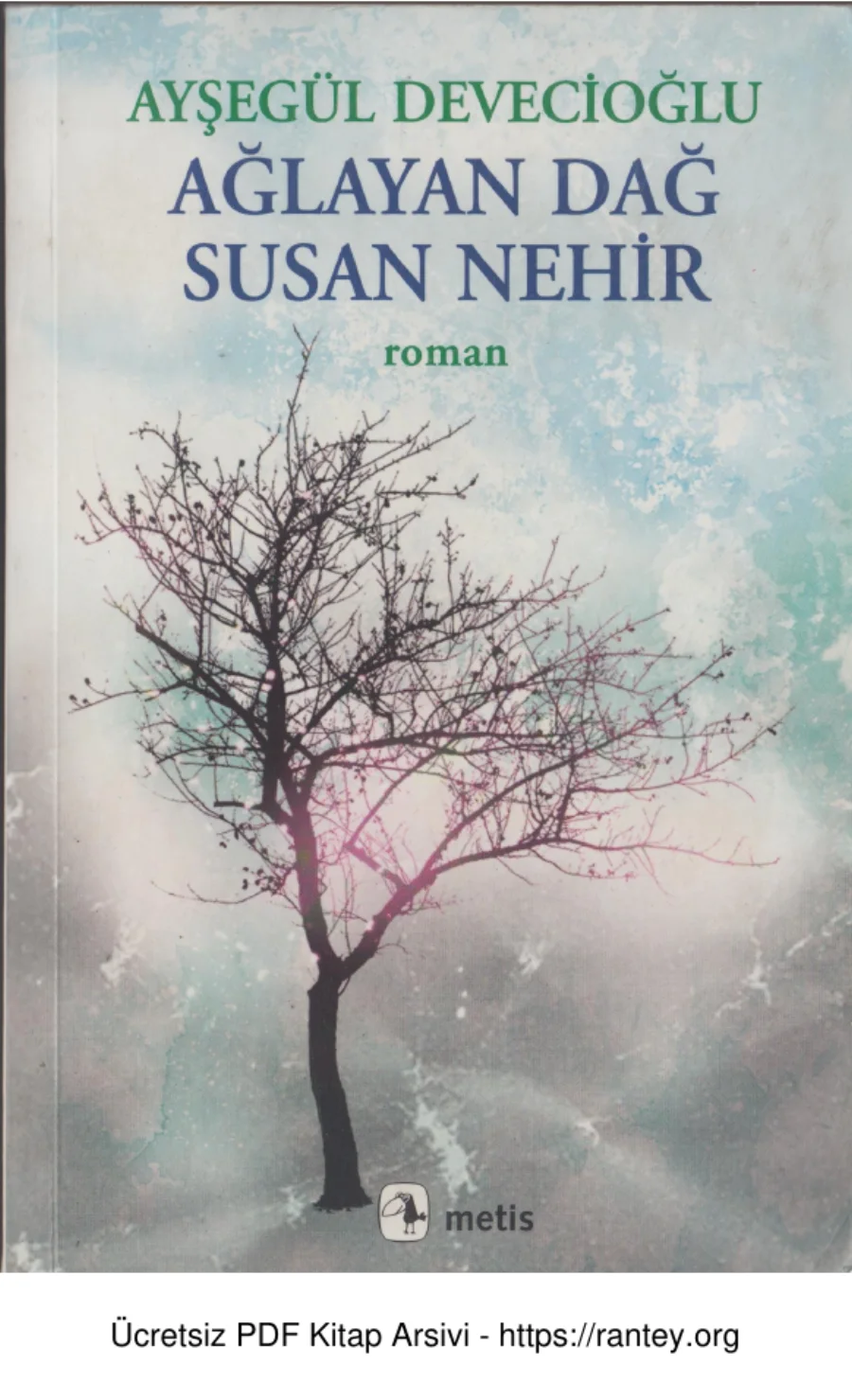 Ağlayan Dağ Susan Nehir Metis Yayınları kapak görseli