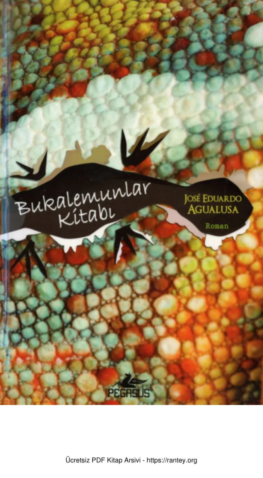 Agualusa Bukalemunlar Kitabı kapak görseli