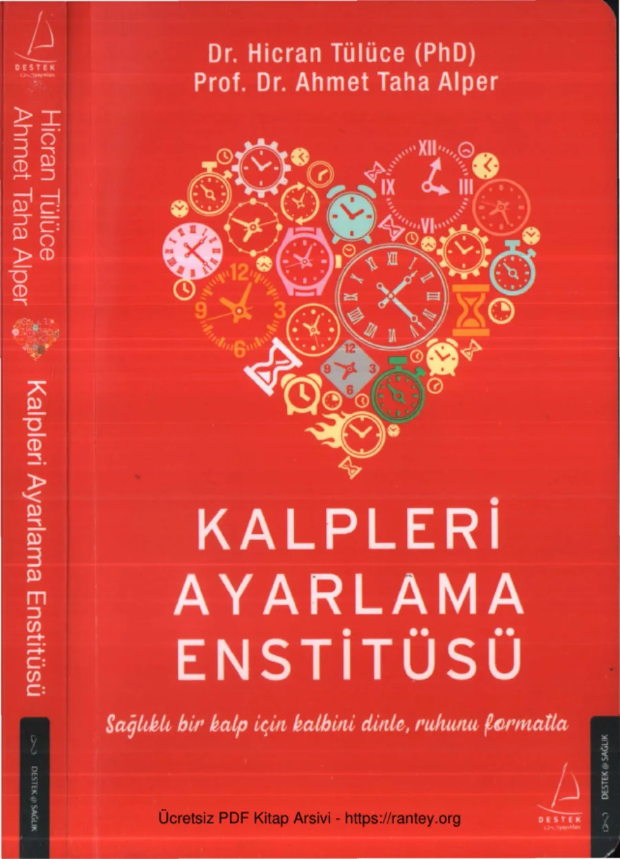 Ahmet Taha Alper Kalpleri Ayarlama Enstitüsü Destek Yayınları kapak görseli
