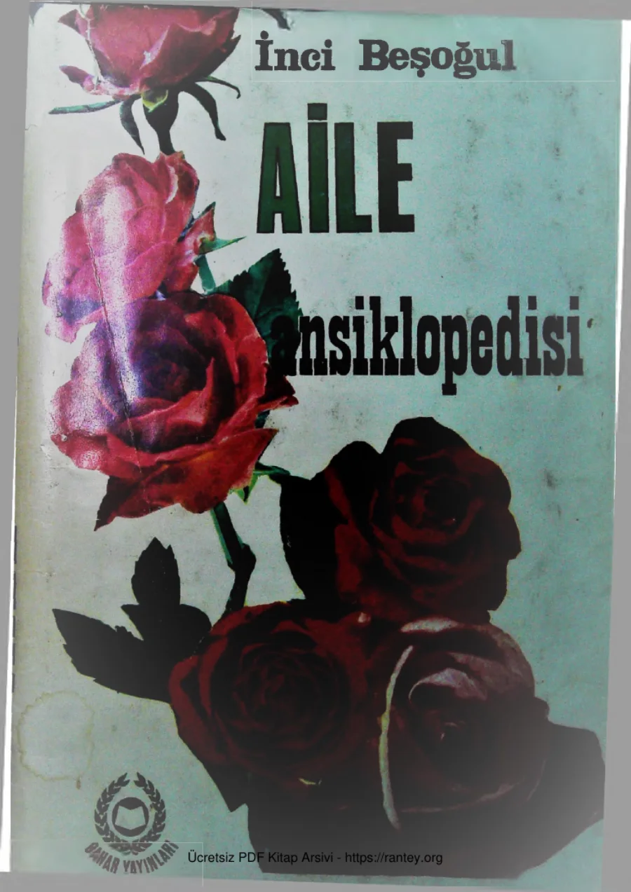 Aile Ansiklopedisi12 kapak görseli