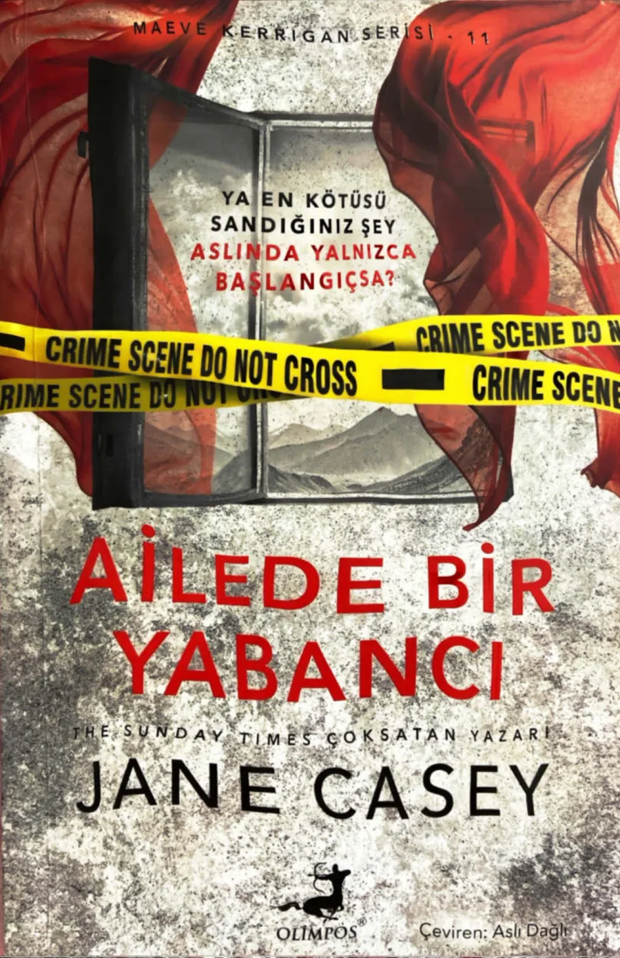 Ailede Bir Yabancı kapak görseli