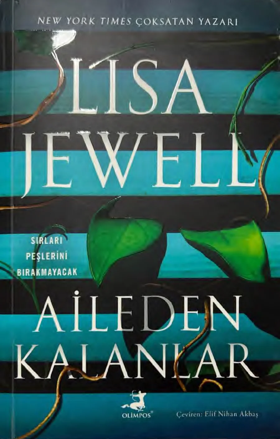 Aileden Kalanlar kapak görseli