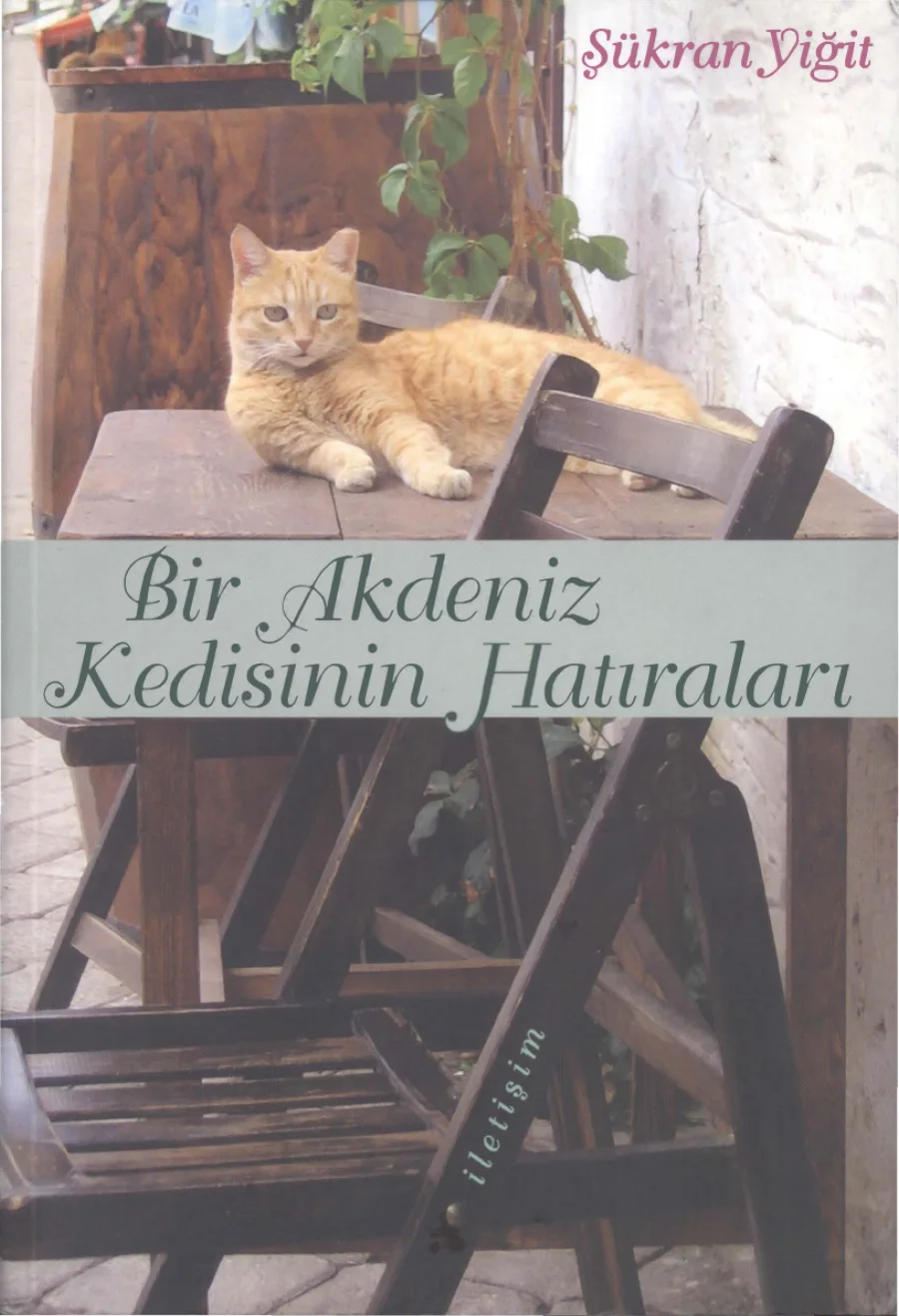 Akdeniz Kedisinin Hatıraları kapak görseli
