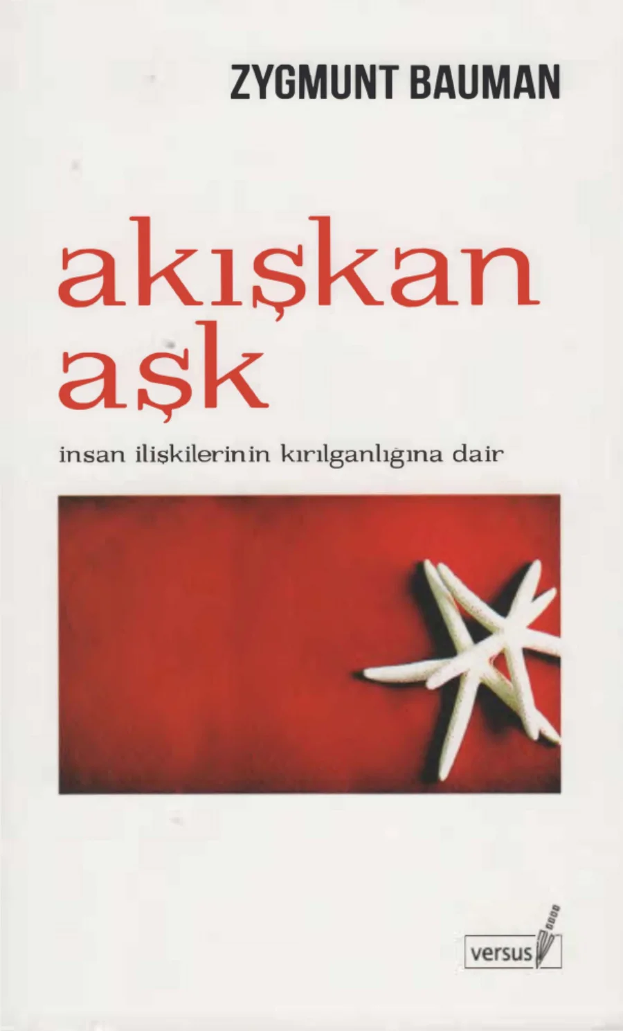 Akışkan Aşk: İnsan İlişkilerinin Kırılganlığına Dair kapak görseli