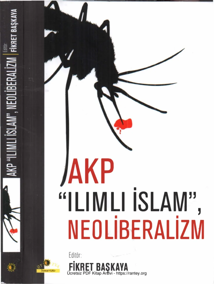 AKP, Ilımlı İslam, Neoliberalizm kapak görseli