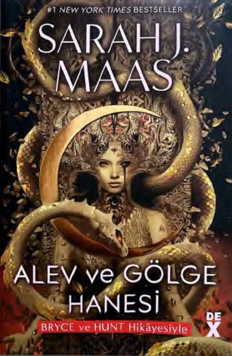 Alev ve Gölge Hanesi kapak görseli