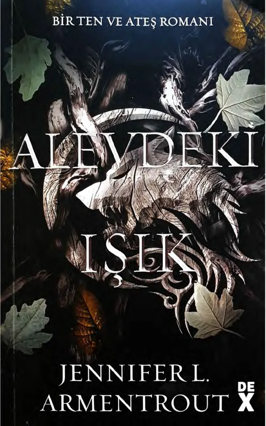 Alevdeki Işık kapak görseli
