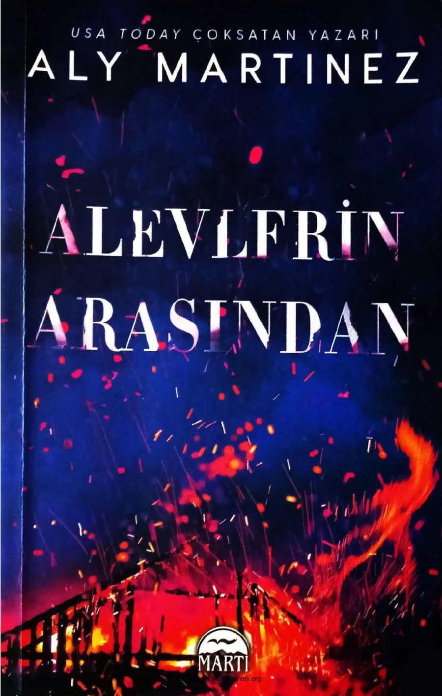 Alevlerin Arasından 2 kapak görseli
