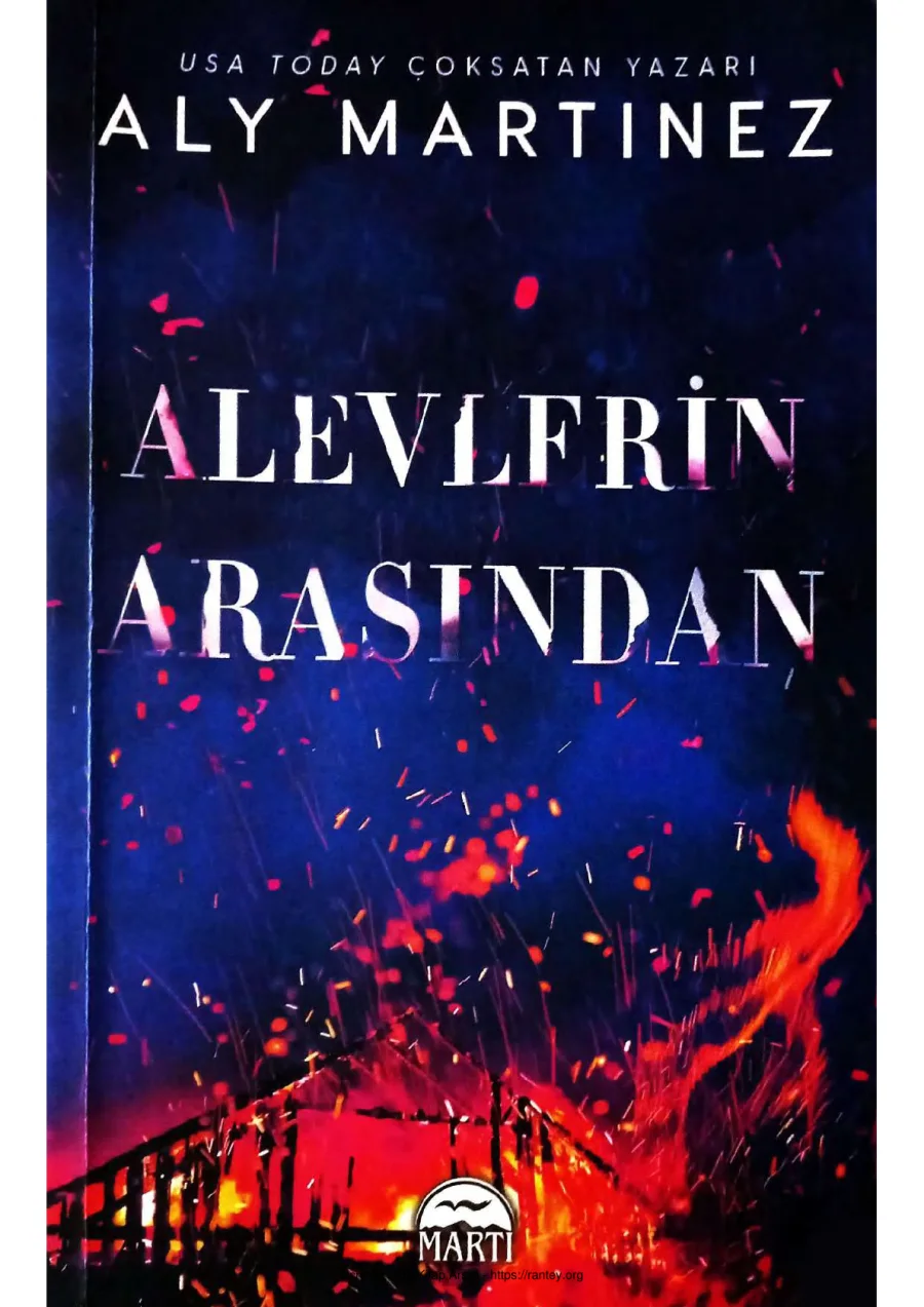 Alevlerin Arasından 3 kapak görseli