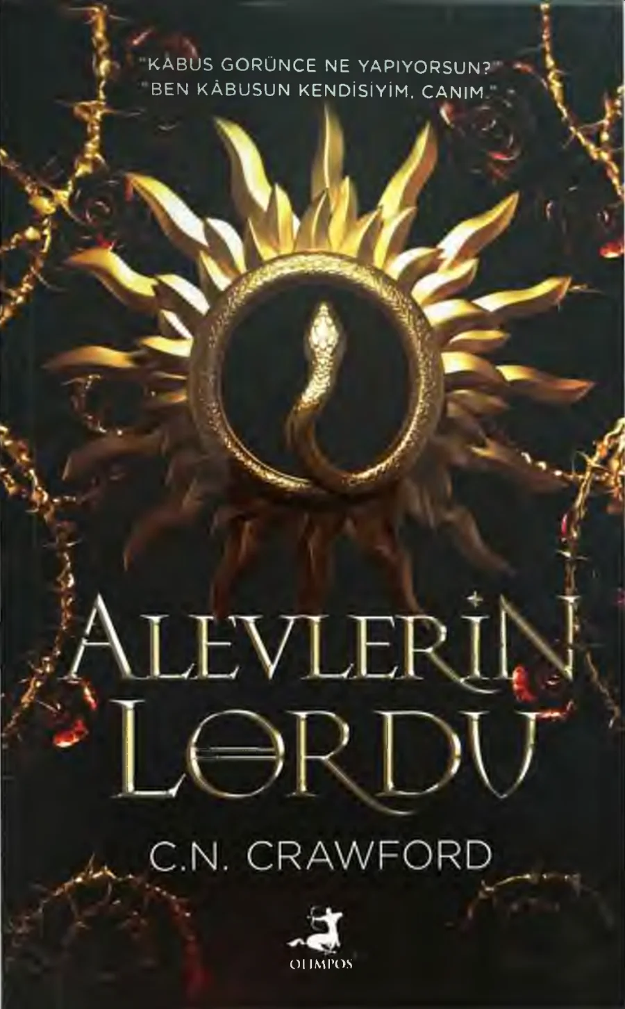 Alevlerin Lordu kapak görseli