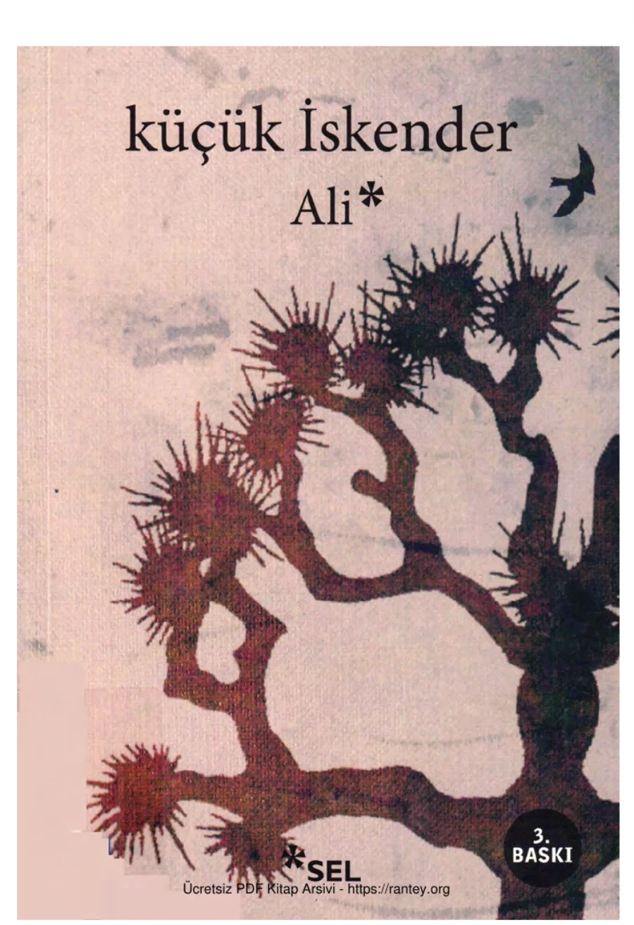 Ali kapak görseli