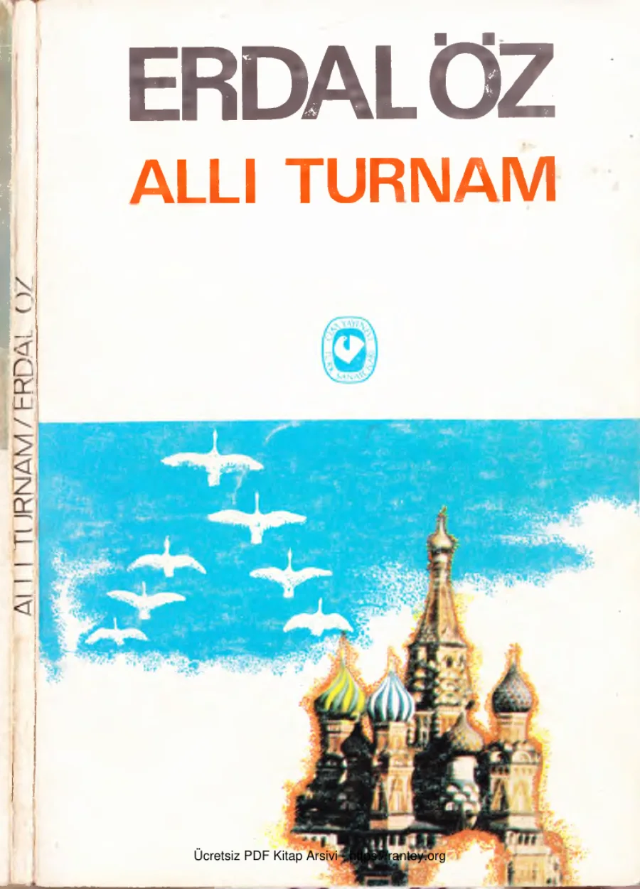 Allı Turnam kapak görseli