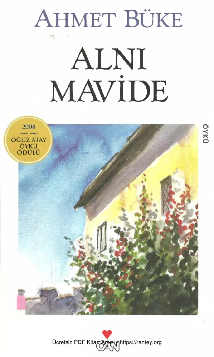 Alnı Mavide kapak görseli