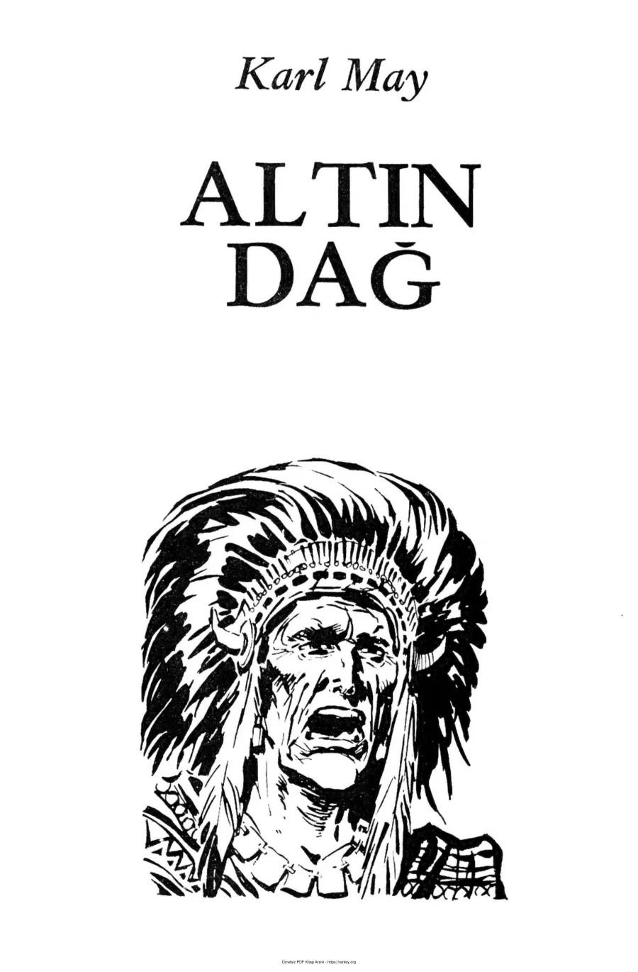 Altın Dağ kapak görseli