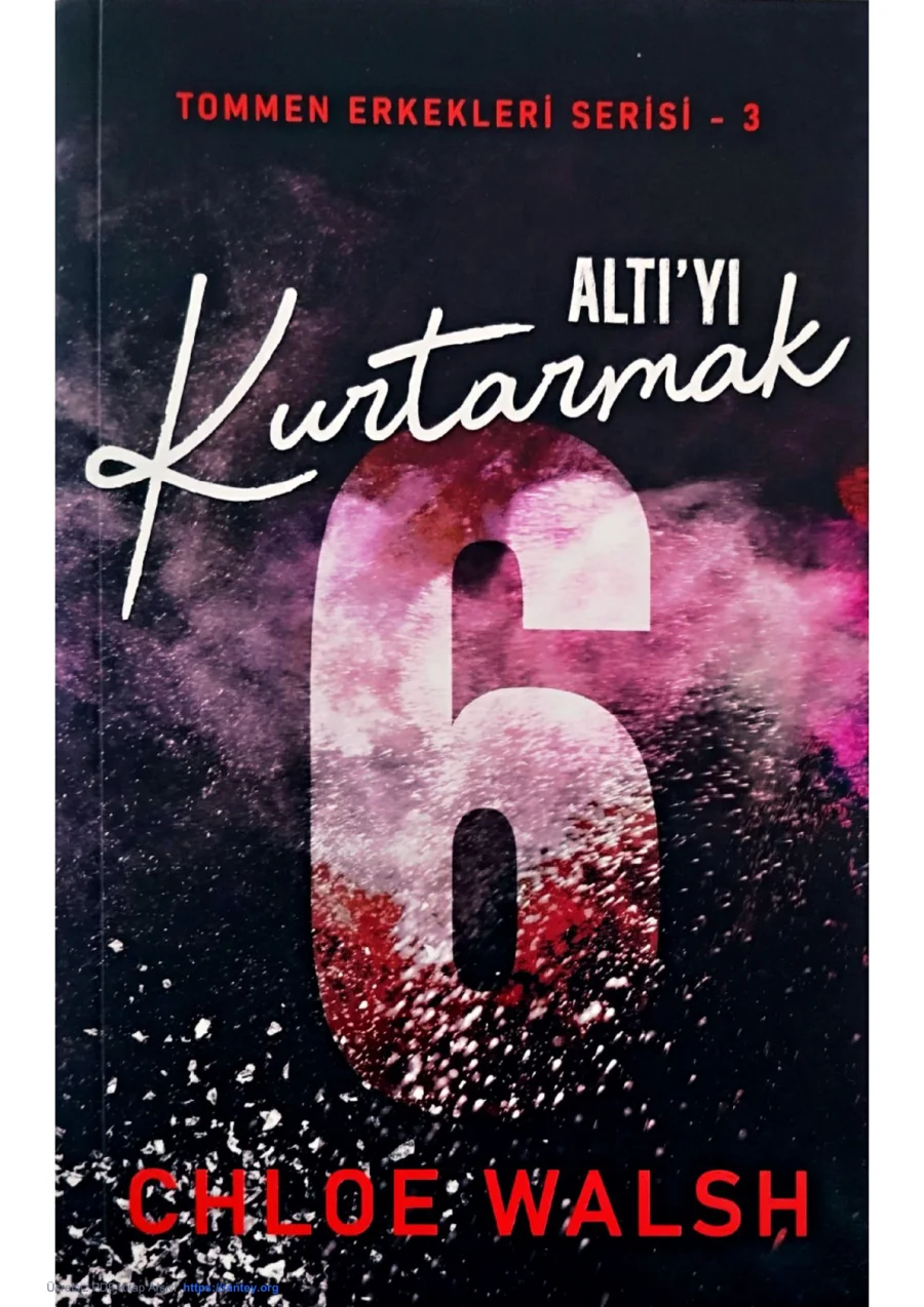 Altı'yı Kurtarmak kapak görseli