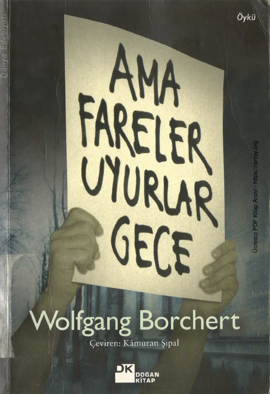 Ama Fareler Uyurlar Gece Doğan Kitap kapak görseli
