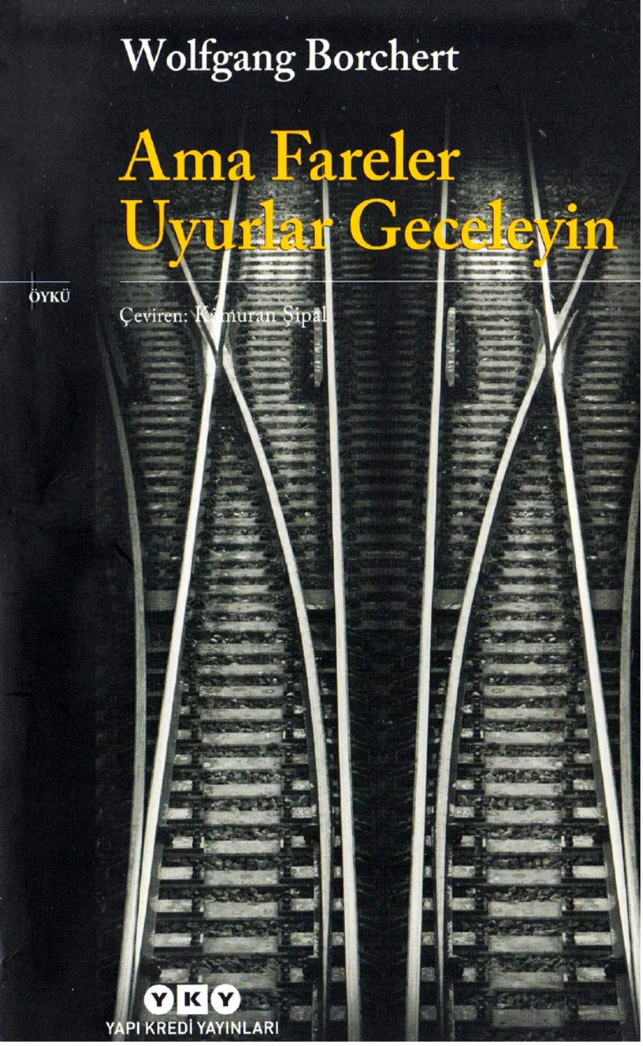 Ama Fareler Uyurlar Gecelyin kitap kapağı