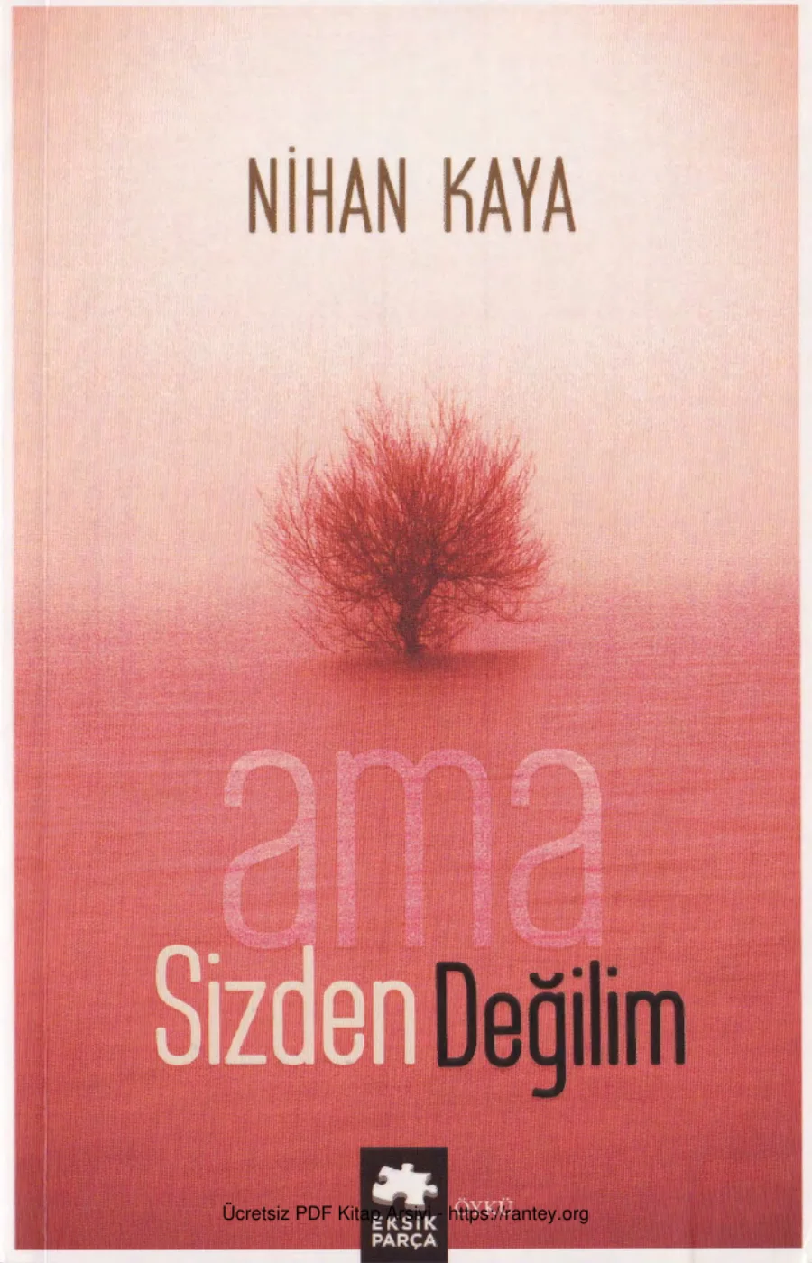Ama Sizden Değilim Eksik kapak görseli
