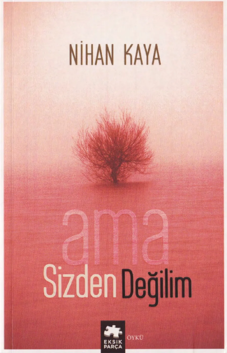 Ama Sizden Değilim PDF kapak görseli