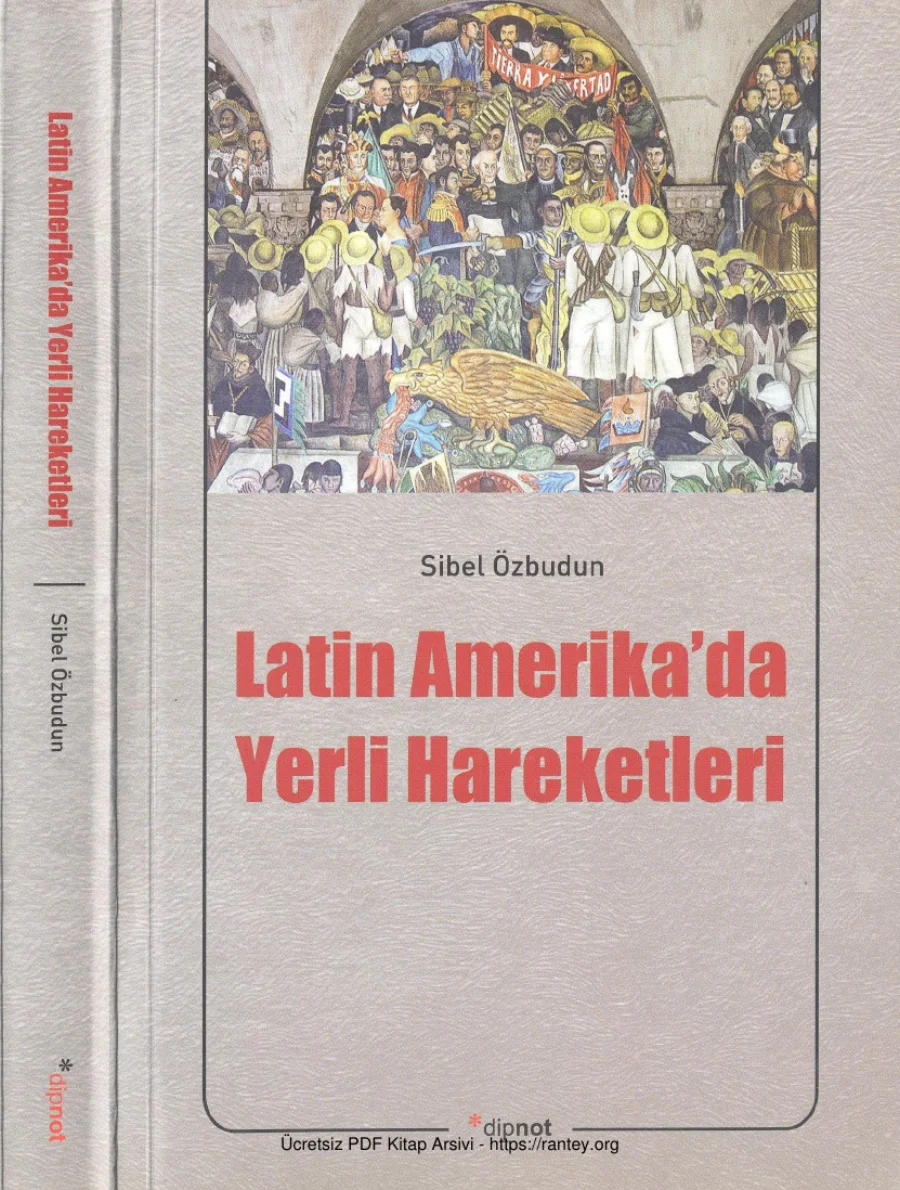 Amerikada Yerli Hareketleri kapak görseli