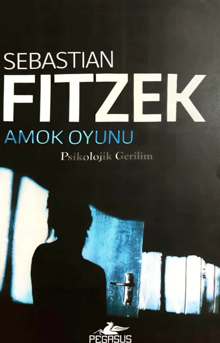 Amok Oyunu kapak görseli