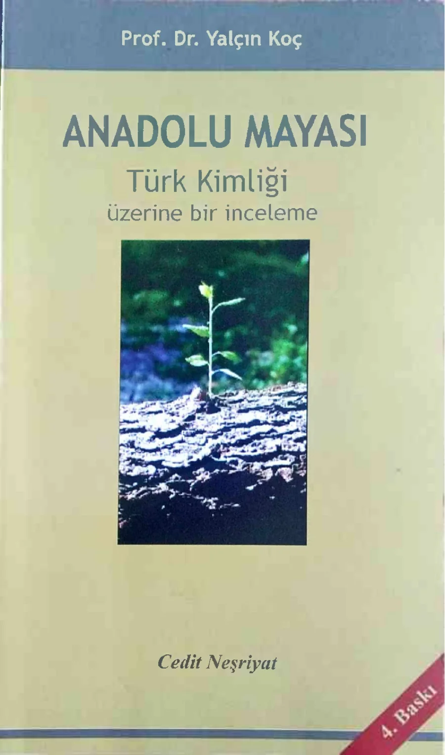Anadolu Mayası PDF kapak görseli