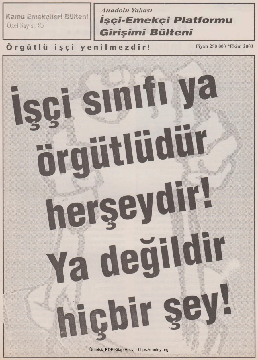 Anadolu Yakası İşçi Emekçi Platformu Girişimi Bülteni Kamu Emekçileri Bülteni Özel Sayı 085 Ekim 2003 kapak görseli