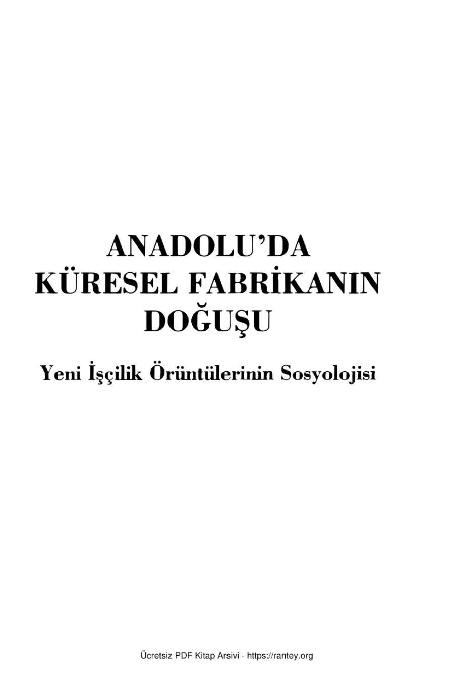 Anadoluda Küresel Fabrikanın Doğuşu Yeni İşçilik Örüntülerinin Sosyolojisi kapak görseli