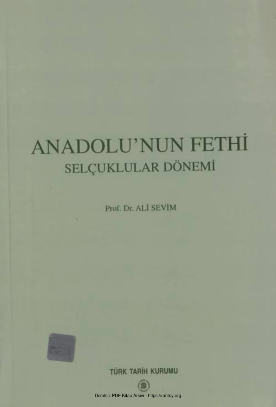 Anadolunun Fethi Selçuklular Dönemi kapak görseli