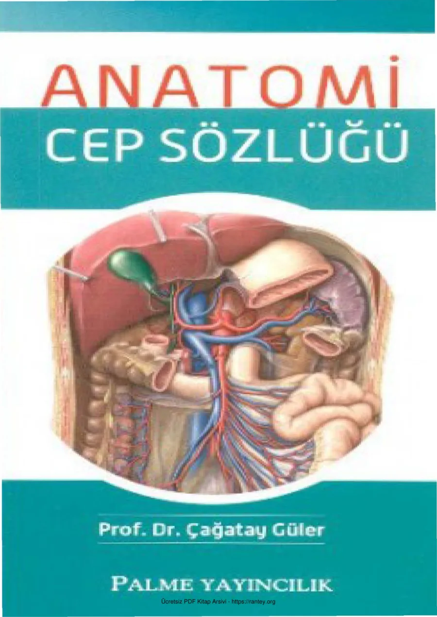 Anatomi Cep Sözlüğü kapak görseli