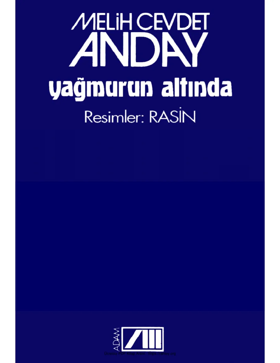 Anday Yağmurun Altında kapak görseli