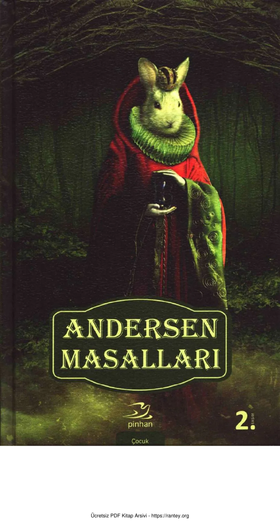 Andersen Masalları Cilt 1 Pinhan Yayınları kapak görseli