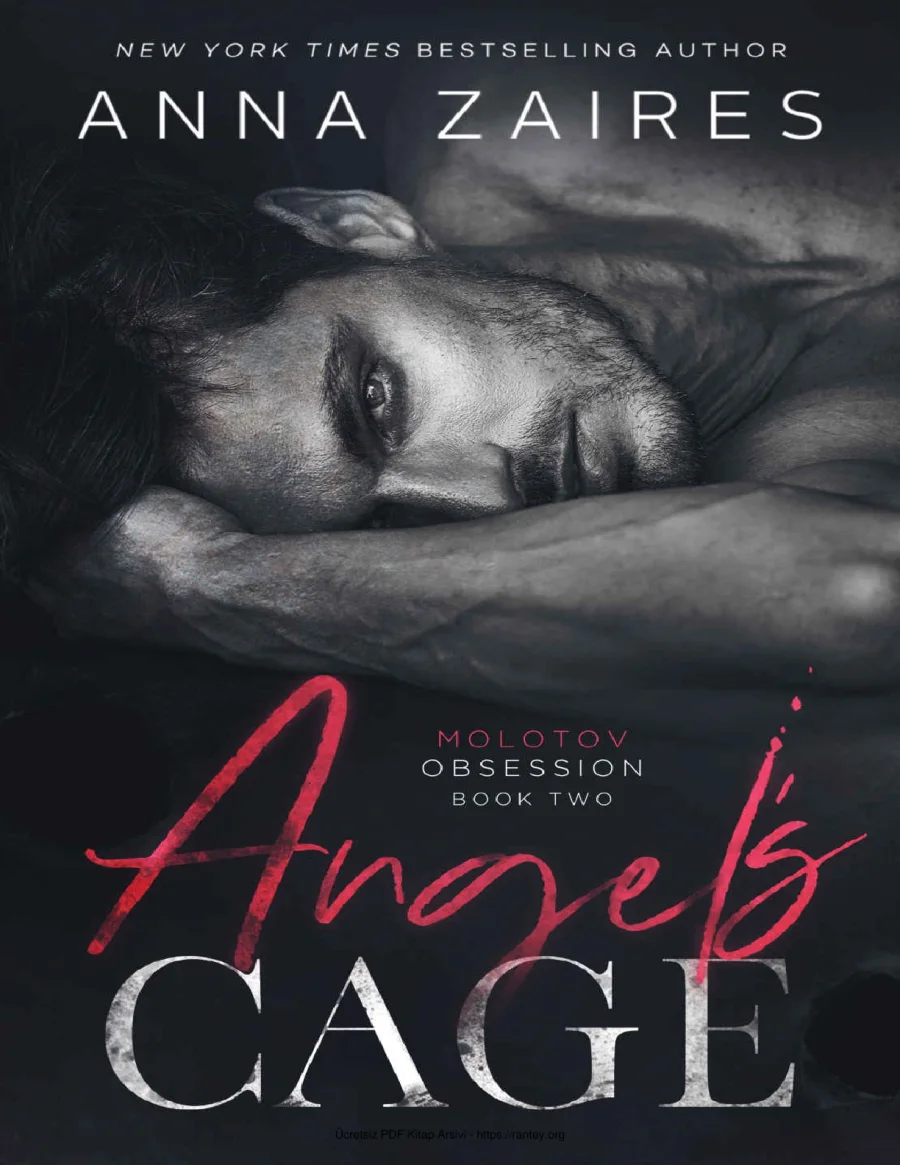 Angels Cage kapak görseli