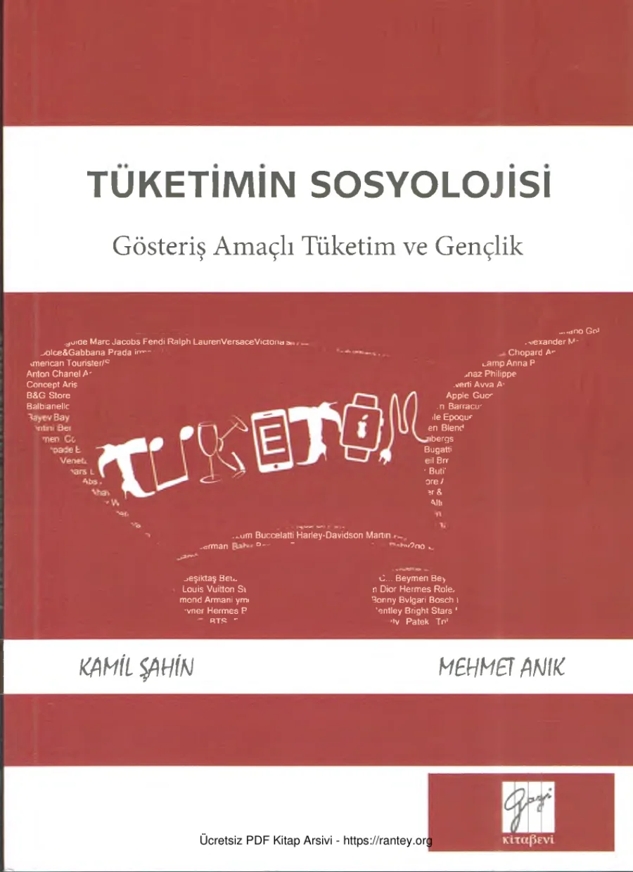 Anık Tüketimin Sosyolojisi Gösteriş Amaçlı Tüketim ve Gençlik kapak görseli
