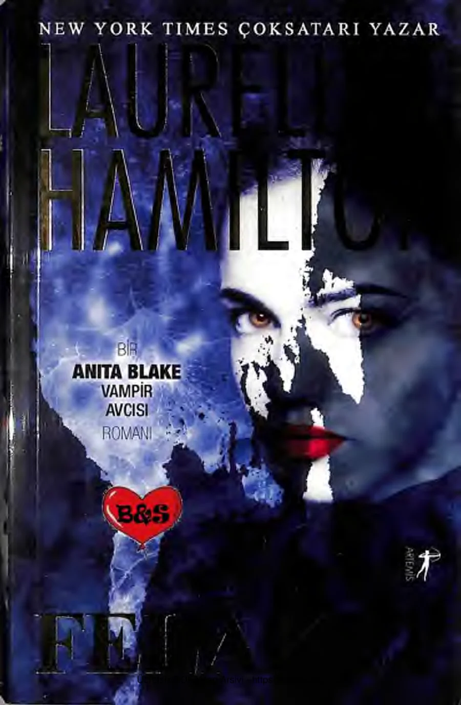 Anita Blake 22 Felaket kapak görseli