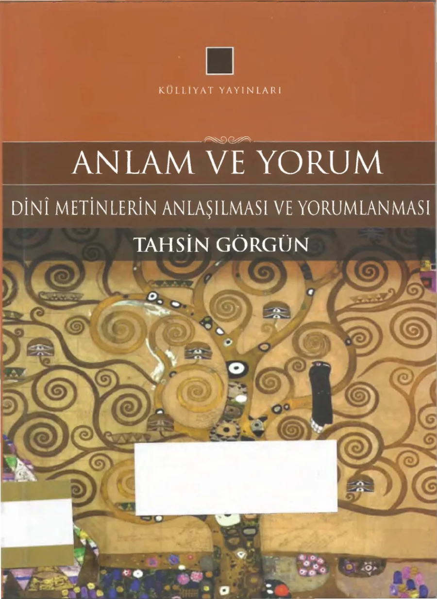 Anlam ve Yorum Dini Metinlerin Anlaşılması ve Yorumlanması kapak görseli