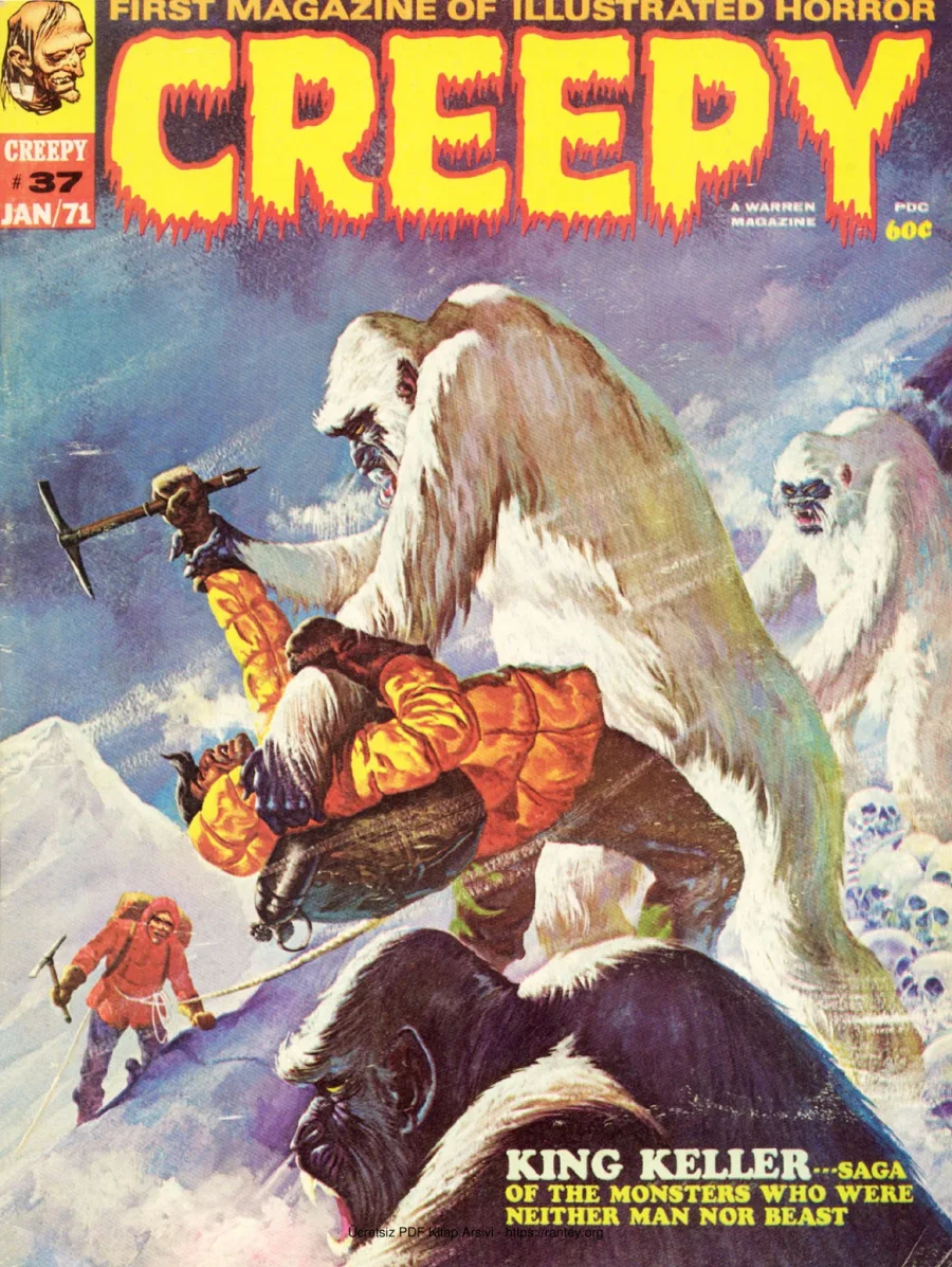ARALIK 1971 kapak görseli