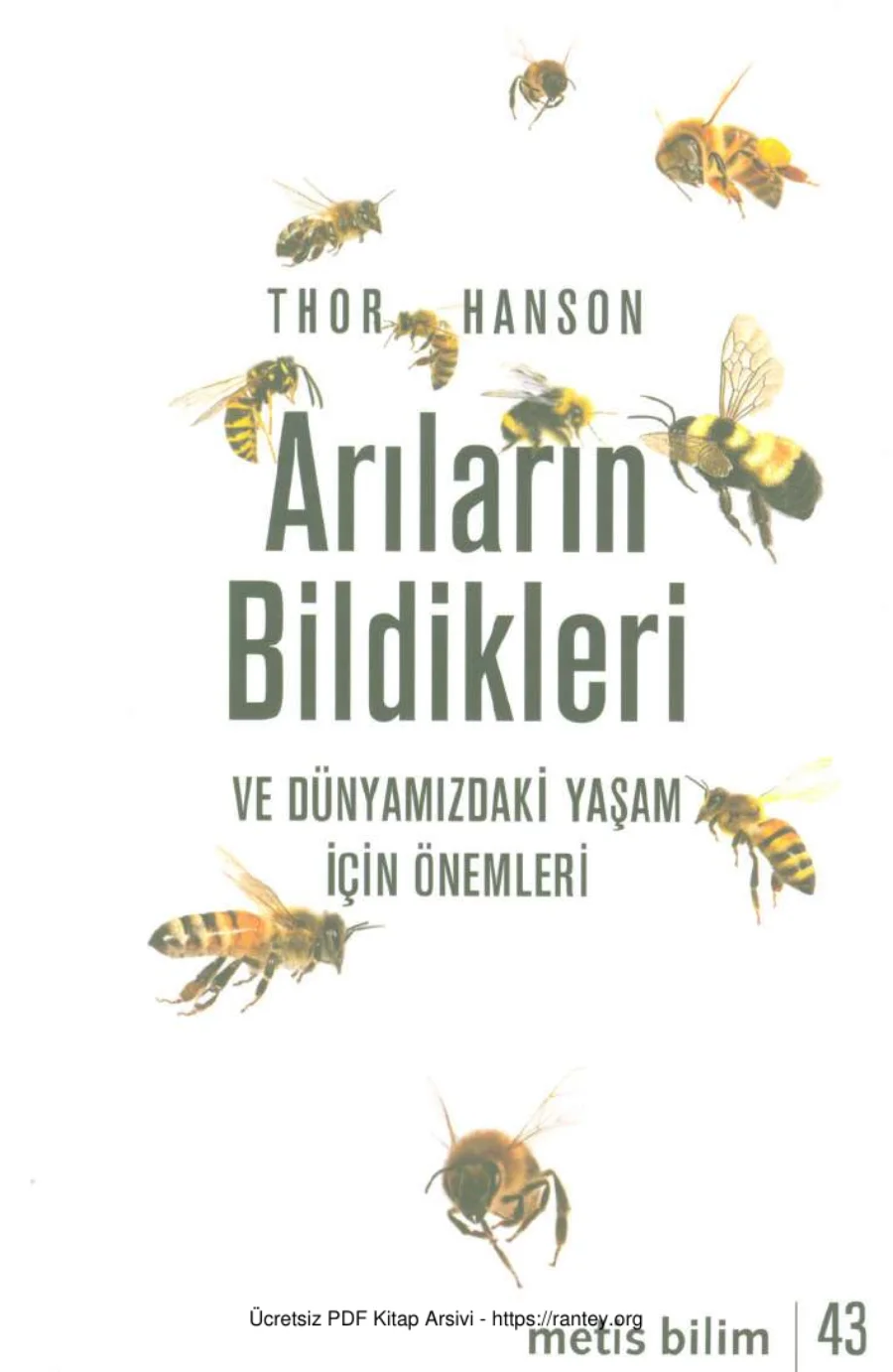 Arıların Bildikleri kapak görseli
