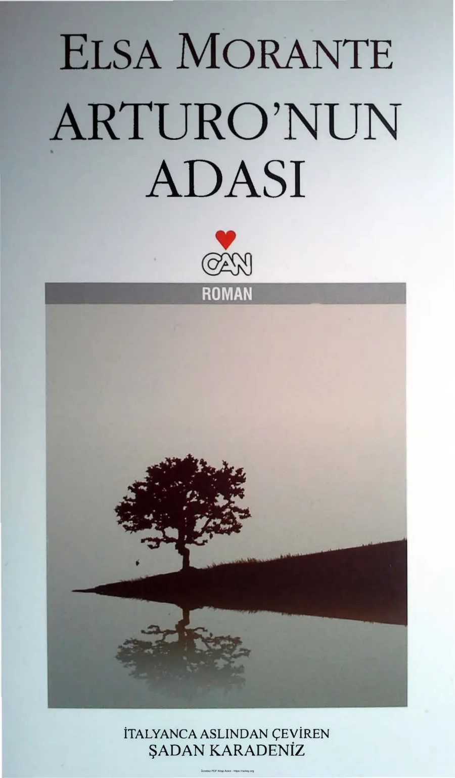 Arturonun Adası kapak görseli
