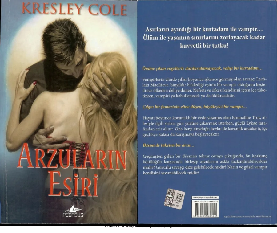 Arzuların Esiri kapak görseli