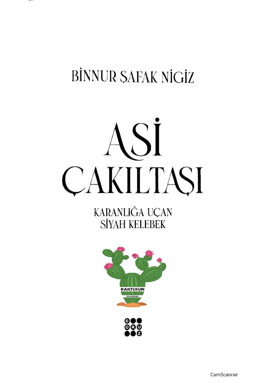 Asi Çakıltaşı 1. Perde kapak görseli