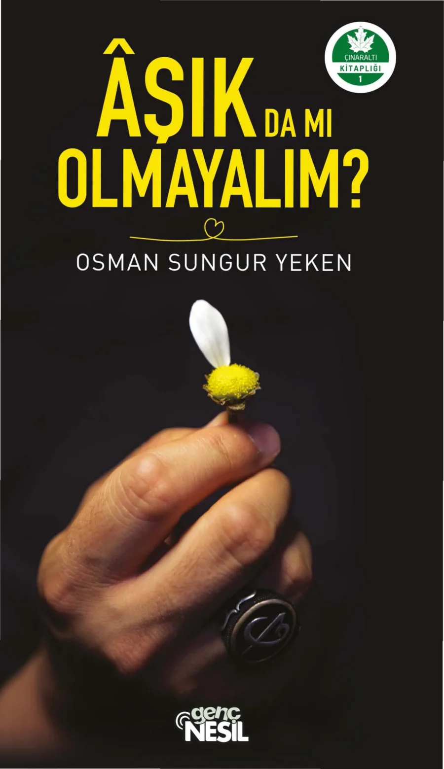 Âşık da mı Olmayalım PDF kapak görseli