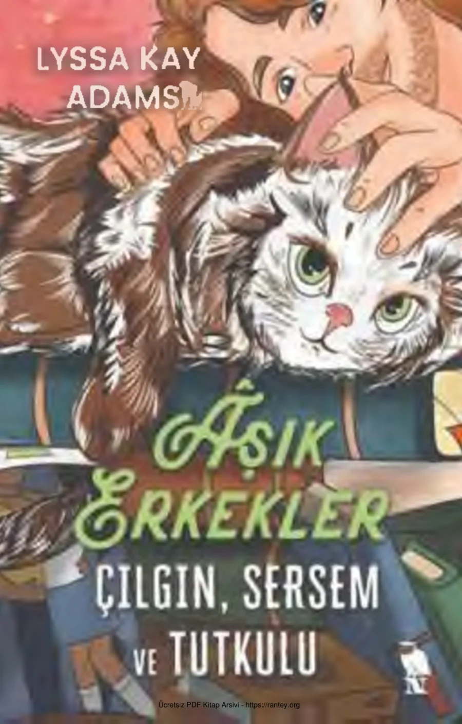 Aşık Erkekler Çılgın Sersem ve Tutkulu kapak görseli