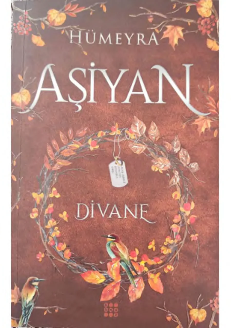 Aşiyan 2: Divane kapak görseli