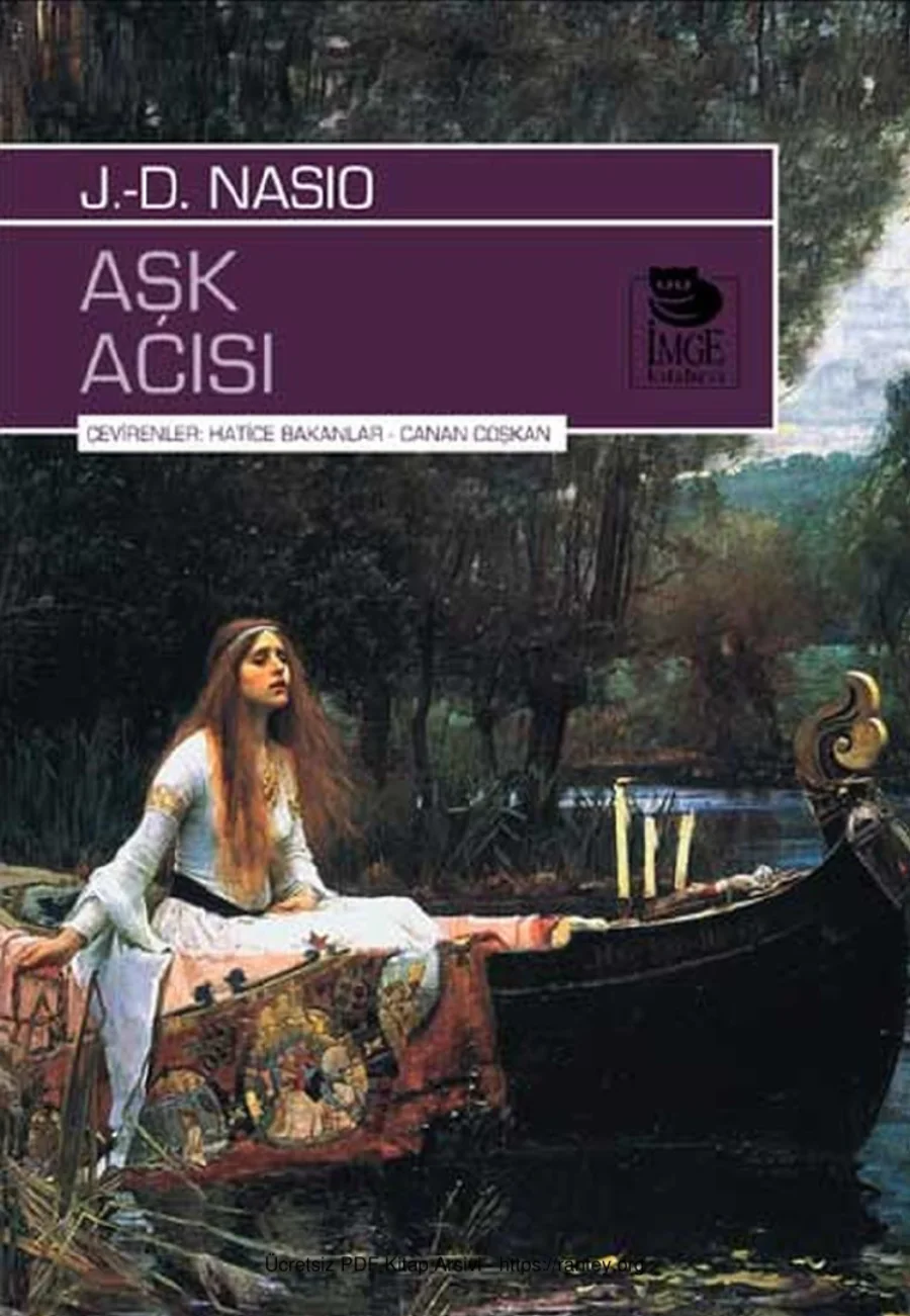Aşk Acısı kapak görseli
