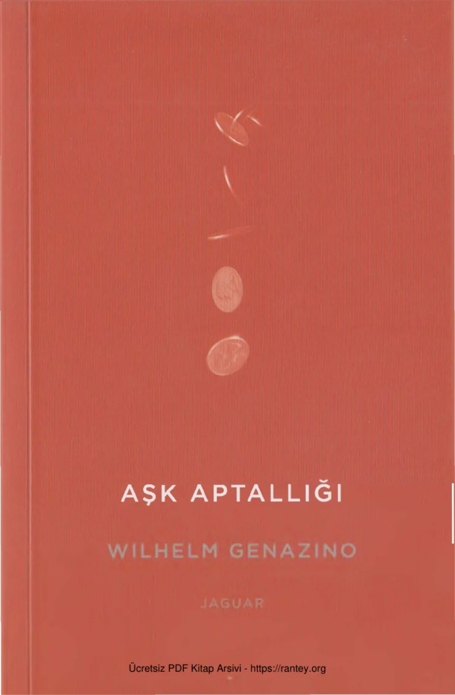 Aşk Aptallığı kapak görseli