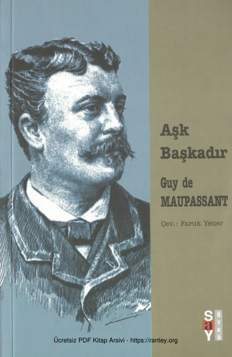 Aşk Başkadır kapak görseli