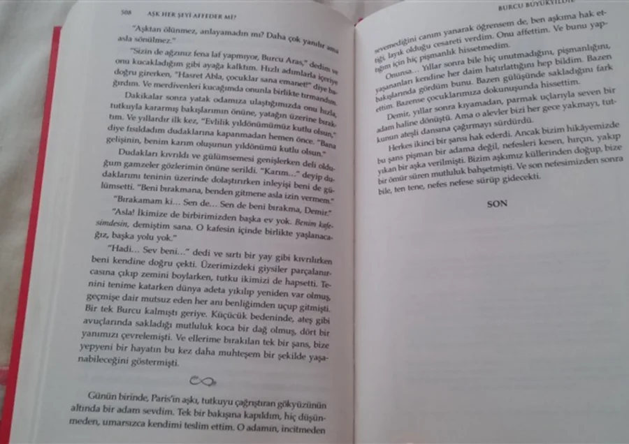 Aşk Herşeyi Affedermi kapak görseli