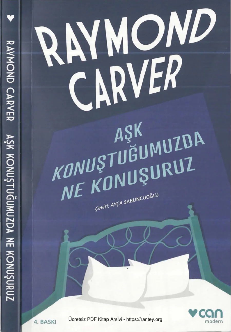 Aşk Konuştuğumuzda Ne Konuşuruz kapak görseli