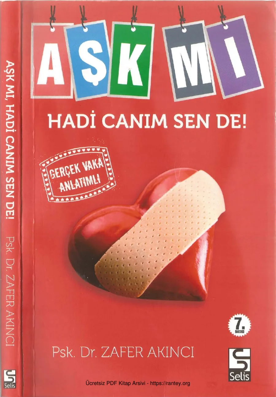 Aşk mı Hadi Canım Sende kapak görseli